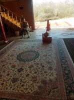 Tri-County Carpet Cleaning image 2